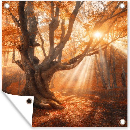 GreatGardenPosters Tuinposter - Bos - Herfst - 200x200 cm - Tuindoek