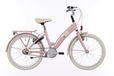 Hulzebos Cycle Parts B.V. Kruitbosch Zwolle B.V. Bfk 20" lots of love rn mahogany roze mat - 20lot500