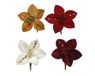 Everlands Poinsettia polyester d10h2 cm a4
