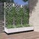 Maison Exclusive Jardinière avec treillis, blanche, 120 x 40 x 121,5 cm, PP