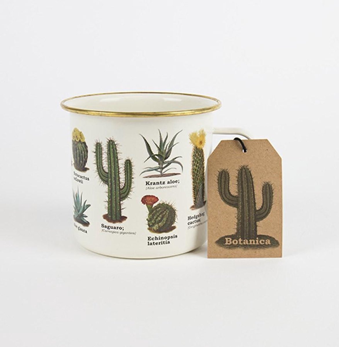 - Emaille tas met cactussen