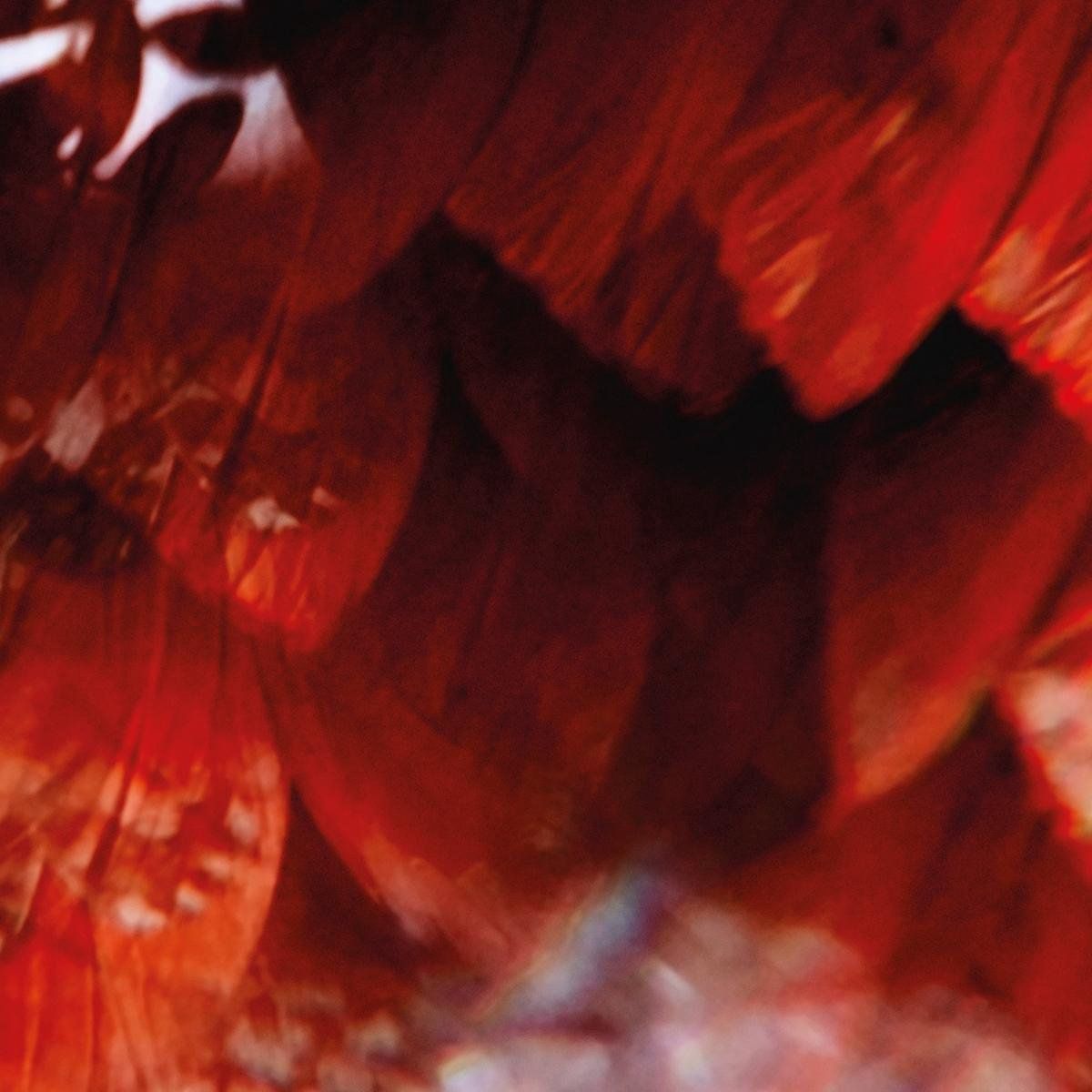 Sonic Rendezvous 7-vida Codigo/meios - Muziek