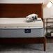 Serta CopperGel traagschuimmatras, koningin, koper