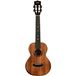 Kala Contour All Solid Gloss Mahogany Tenor Ukulele with Gigbag