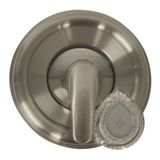 Danco 10002 Trim Kit voor Moen, Geborsteld Nikkel