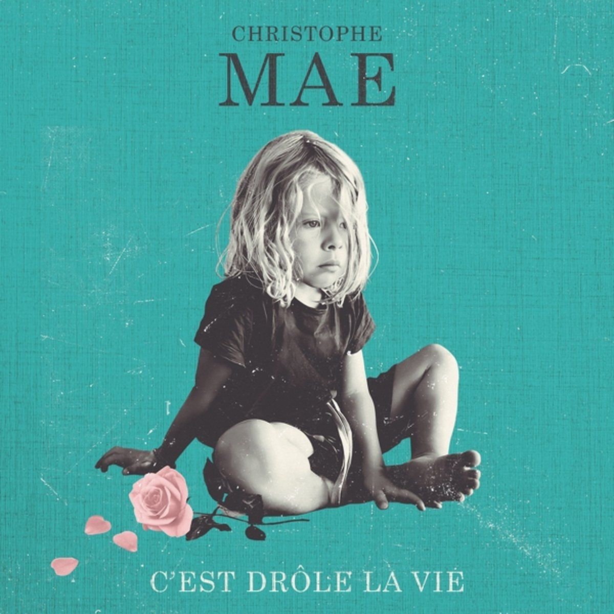 Warner C'est Drôle La Vie - Muziek - 0190296245190
