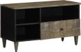 Maison Exclusive - meuble TV, 80x33x46 cm, manguier massif