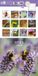 Tallon Bees and Butterflies Kalender 2027