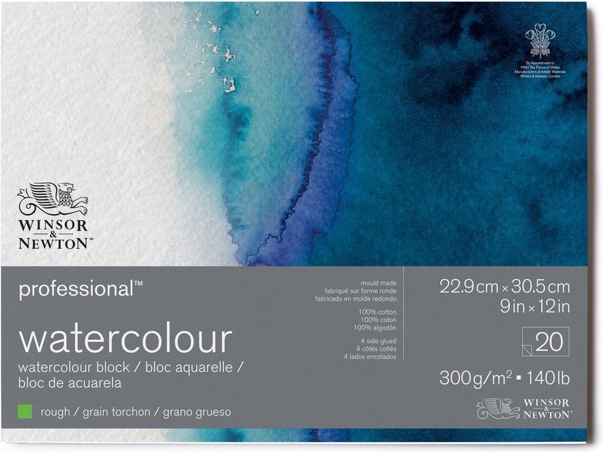Winsor & Newton Professioneel Aquarelpapier Rough 100% Katoen rondom verlijmd 20 vel 22.9 x 30.5 cm