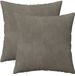 vidaXL - Kussensloop - 2 stuks - HEERLEN - Lichtgrijs - 35 x 35 cm - Fluweel