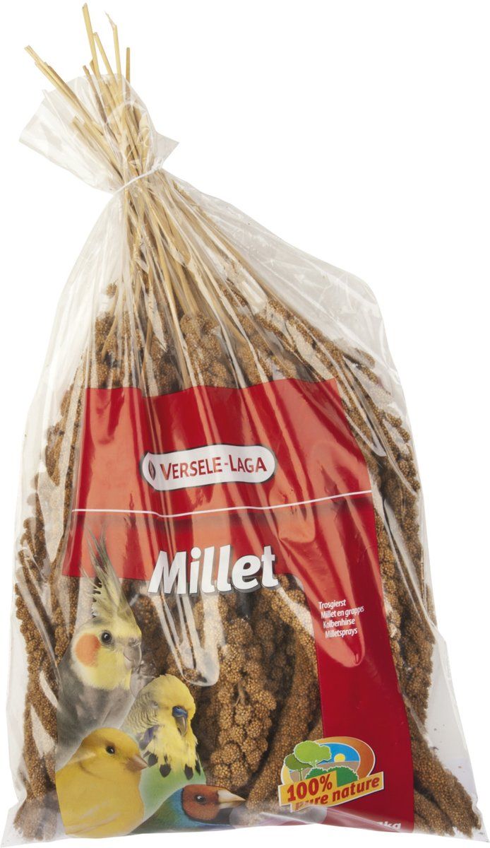 PRESTIGE Trosgierst 0.3 kg - 18 stuks