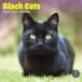Baker & Bray Zwarte Katten Kalender 2027