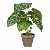 Mica Decorations Caladium Ø 21 x 28 cm Artificiel