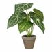 Mica Decorations Caladium Ø 21 x 28 cm Artificiel