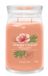 Yankee Candle Bougie Cylindrique Tropical Breeze - Guava & Mint - Autonomie 90 Heures