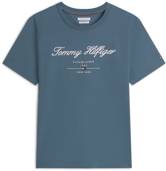 Tommy Hilfiger Heren T-shirt Blauw Katoen M