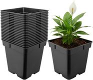 Garronda Set van 20 vierkante kunststof kweekpotten met drainagegaten voor tuin (Zwart, 18 x 18 x 18 cm (4L)) GD-KW-S