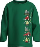 NAME IT NMMVELDO LS NREG TOP Jongens Lange mouwen shirts Verdant Green Katoen Maat 98