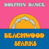 V2 Border Beachwood Sparks Dolphin Dance Remix '12