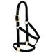 Weaver Leather Basic paardenhalster, niet verstelbaar, nylon, 2,5 cm, zwart