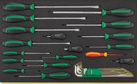 Stahlwille TCS 4620/4660 VDE 10767 Schroevendraaierset
