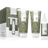 Australian Bodycare Haaruitvalset: serum 100 ml, shampoo 200 ml en 200 ml conditioner met cafeïne