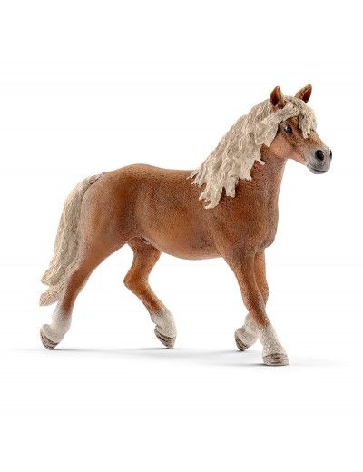 Schleich Farm Life 13813