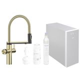BLANCO Choice Icona, roestvrij staal satijn goud, hoge druk, multifunctioneel all-in-one watersysteem, koel water in stille, medium, bruisend en kokend heet, inclusief app voor personaliseren