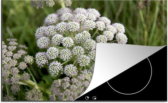 KitchenYeah® Inductie beschermer 77x51 cm - Anijs - Inductiebeschermer