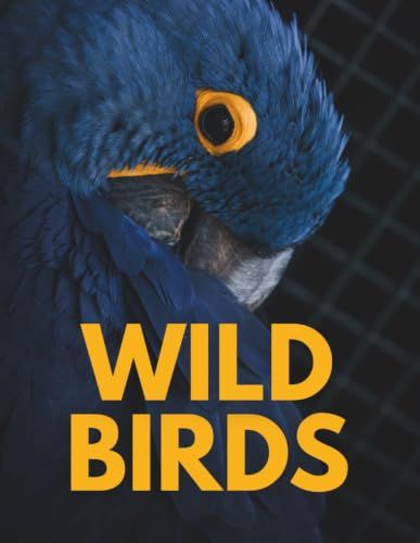 WILD BIRDS: Stunning Photography of Majestic Eagles, Colorful Parrots, Flamingos, Peacocks, Owls and Exotic Species in Their Natural Habitats