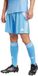 adidas Tiro 24 Herrenshorts Blau M
