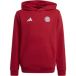 Bayern Munich sweat à capuche enfant 2024/25
