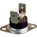 Thermorex TK24-T02-MG01-Ö120-S110 Bimetaalschakelaar 250 V 16 A Openingstemperatuur (± 5 °C) 120 °C Sluitingstemperatuur 110 °C 1 stuk(s)