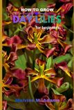 How Libri GmbH How to grow Daylilies for beginners