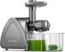 Aobosi extracteur de jus lent AMR520