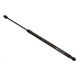 Magneti Marelli Vérin De Hayon, De Coffre 430719115900 Ford