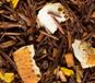 Dammann Frères Rooibos Citrus sachets de thé 24 pièces