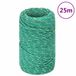 vidaXL Cordage de bateau 2 mm 25 m polypropylène vert
