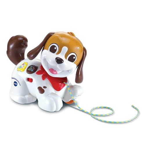 VTech - Toutou 1,2,3 Wandel mij - Trekspeelgoed - Interactieve puppy - Frans