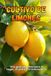 Cultivo de limones: Guía completa para cultivar, cuidar y cosechar limoneros en casa