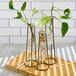 Kate Aspen Terraria met gouden metalen standaard