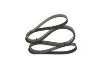 BOSCH Keilrippenriemen 1987947820
