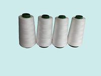 Dayou Overlock naaigaren 40/2, 2500 m, conisch (wit)