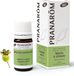 Pranarom Mirto Verde Etherische olie - 5 ml
