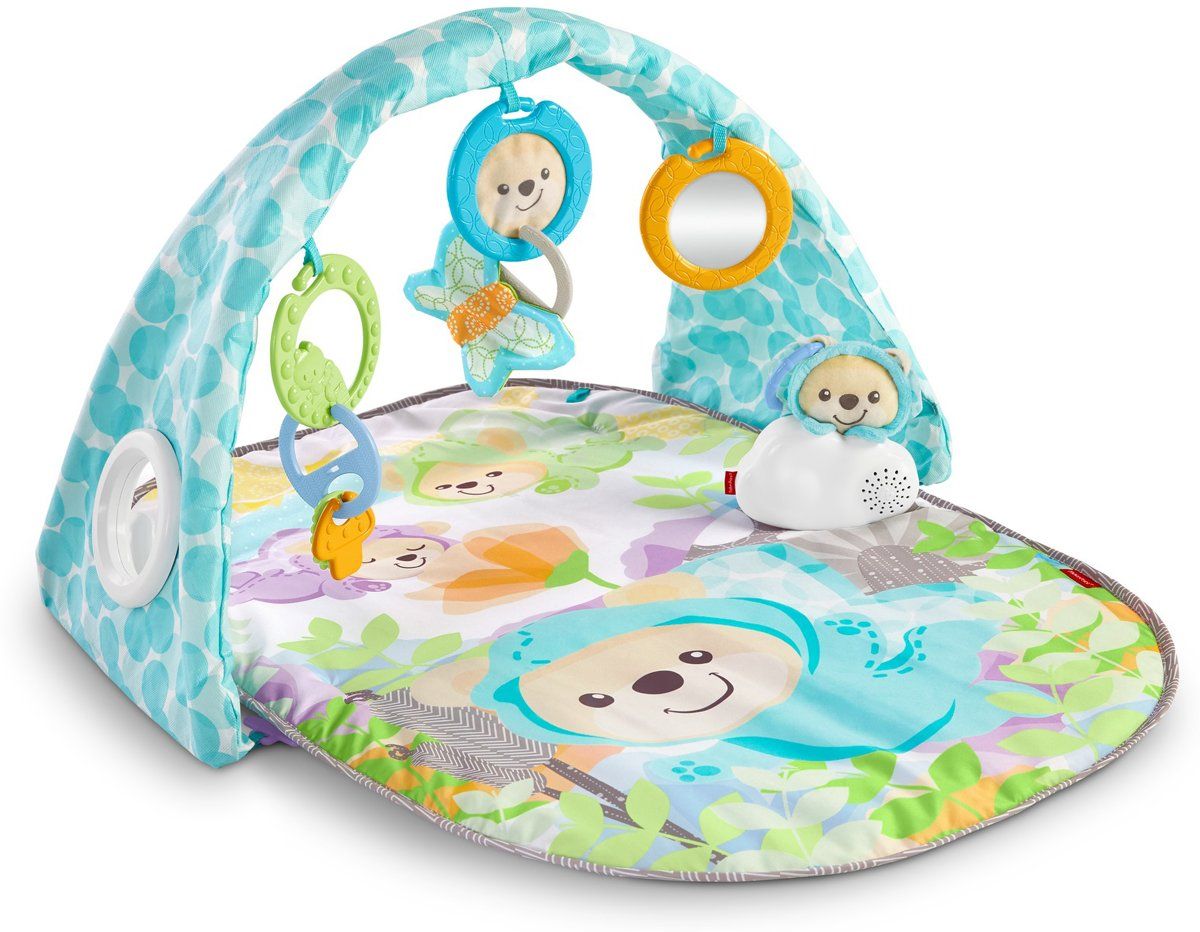 Fisher-Price vlinderdromen gym - unisex - multi - 2018