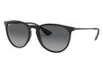 Ray-Ban Erika RB4171 - Zonnebril - Gepolariseerd - Zwart - Unisex