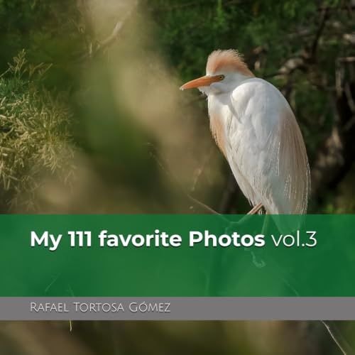 My 111 favorite Photos vol.3