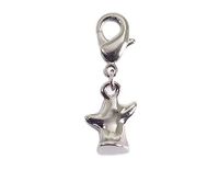 INNSPIRO Mooie bedels hanger van metaal, met karabijnhaak, 10 x 13 mm, 25 stuks