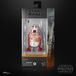 Hasbro Star Wars: The Mandalorian Black Series Action Figure R4-6D0 15 cm