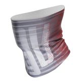 Dainese Neck Gaiter Grijs Man